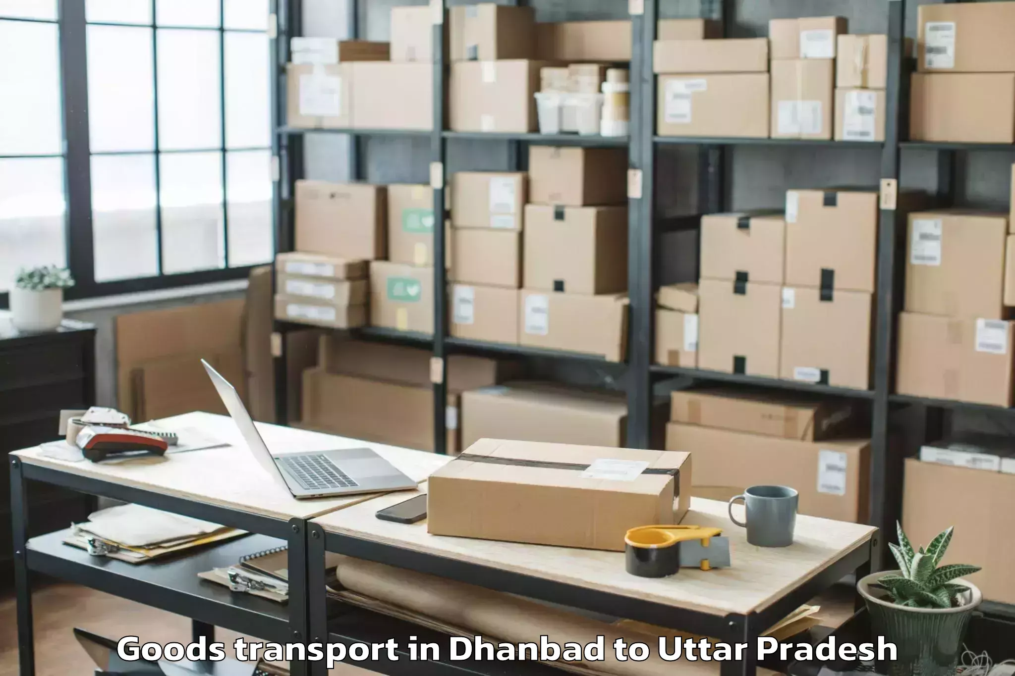 Reliable Dhanbad to Bidhuna Goods Transport